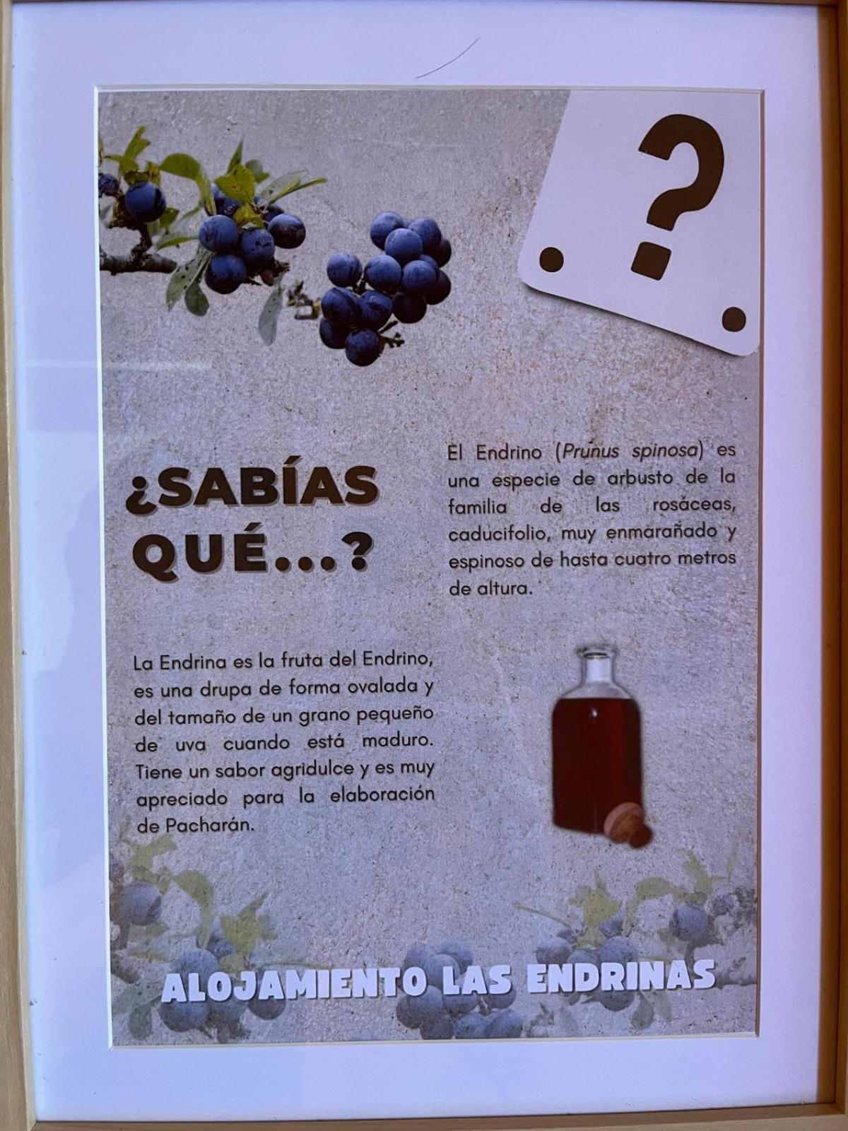 Alojamiento Las Endrinas Ezcaray Buitenkant foto